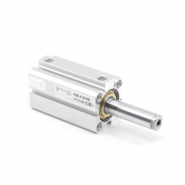 Пневмоцилиндр KS-100-RSA-0020 Pemaks
